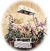 600 Watt HPS SunSystem I Super Sun Plant Grow Light