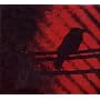 Born Into Trouble von Silver Mount Zion