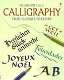 An Usborne Guide Calligraphy from Beginner to Expert (Calligraphy)