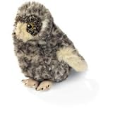 Great Grey Owl - Audubon Plush Bird (Authentic Bird Sound)