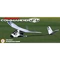 Firebird Commander 2 Radio Remote Controlled Plane