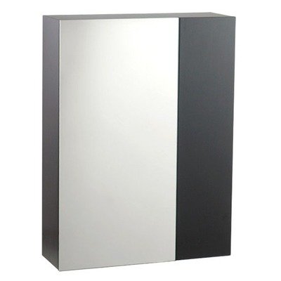Studio Medicine Cabinet with in Espresso
