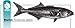FRESH WHOLE BLUEFISH, 3 TO 4 LBS Image