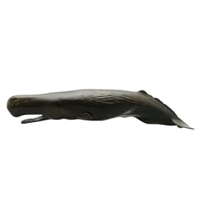 Sperm Whale Marine Life Toy Model by Favorite Collection