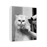 Cat Flap - Canvas - Medium - 30x45cm