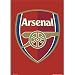 Arsenal Team Crest Poster