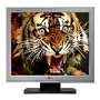 LG ELECTRONICS Flatron L1515S 15-Inch Active Matrix LCD Color Monitor - Ivory
