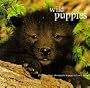 Wild Puppies
