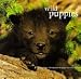 Book Wild Puppies