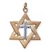 Jewelry : 24K Gold-Plated Sterling Silver Interfaith Pendant and 18-inch Chain