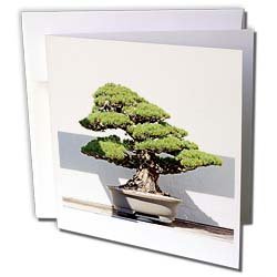 Trees - Bonsai Tree - Greeting Cards-6 Greeting Cards with envelopes