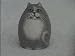 Gray cat with white belly Collectible Resin Figure