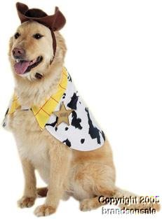 Pet Woody Dog Halloween Costume For Small Dogs 