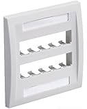Panduit CFPE10EI-2GY 2-Gang 10-Port Faceplate, Electric Ivory