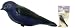 Heath Outdoor Products Deluxe Painted Purple Martin Decoy w/Mount #PMD-1