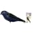 Heath Outdoor Products Deluxe Painted Purple Martin Decoy w/Mount #PMD-1