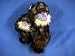 Stuffed Mandrill with Baby 10" High