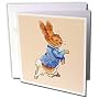 Peter Rabbit - Peter Rabbit - Greeting Cards-12 Greeting Cards with envelopes