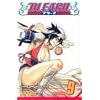 Bleach, Vol. 9: Fourteen Days For Conspiracy: v. 9