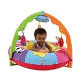 Lights and Sounds Playnest and Gym
