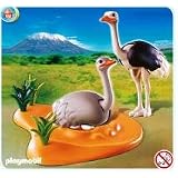 Ostrich Family With Nest african safari animal by 