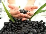 100% PURE Perfect ACAI Berry, ACAI Capsules 120 Caps!