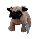 Webkinz Pug with Trading Cards