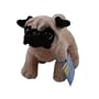 Webkinz Pug with Trading Cards