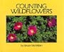 Counting Wildflowers