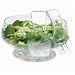 Salad on Ice
