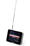 Teac MP4500 DVB-T MP3-/Video-Player 4 GB (8,9 cm (3,5 Zoll) TFT-Display, FM-Radio, SD-Slot, USB 2.0) schwarz
