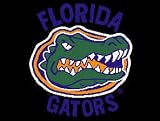 Florida Gators ( University Of ) NCAA 18x24 Entry Mat