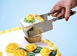 Debbie Meyer's Kake-kut'r; for Sheet Cakes; The BistroTM handle Style