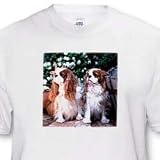 Two Blenheim Cavalier King Spaniel - Toddler T-Shirt (4T)