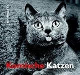 Produkt-Bild: Komische Katzen