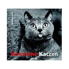 Komische Katzen