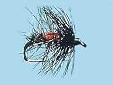 Bibio Wet Hackled Fly