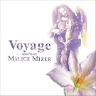 Voyage