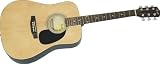 fender sa 100