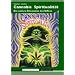 Cannabis Spiritualit�t: Die andere Dimension des Kiffens