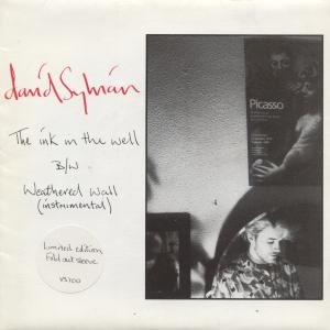 David Sylvian Photo 14