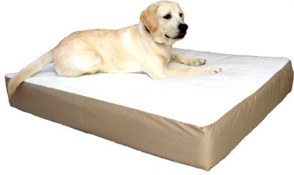 Large/XL 34x48 Orthopedic Double Dog Bed - Khaki