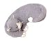 Eye Pillows - Warm Whiskers Kitty Cat Aromatherapy Herbal Eye Pillow