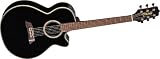 Acoustic-Electric Guitars