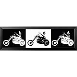 BlackHog,WhiteHogFramedFramedArtPosterPrint,37x11