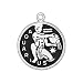 Sterling Silver Zodiac Sign Charm - Aquarius