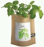 Garden In A Bag Herb - Basil