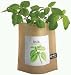 Garden in A Bag