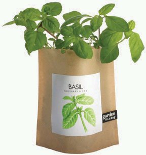 Basil Garden-in-a-Bag (3 Ounce) by igourmet.com by Antipasto
