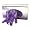 Kimberly Clark Safeskin Purple Nitrile Exam Gloves, X-Small 55080 - 1 Box of 100 Gloves